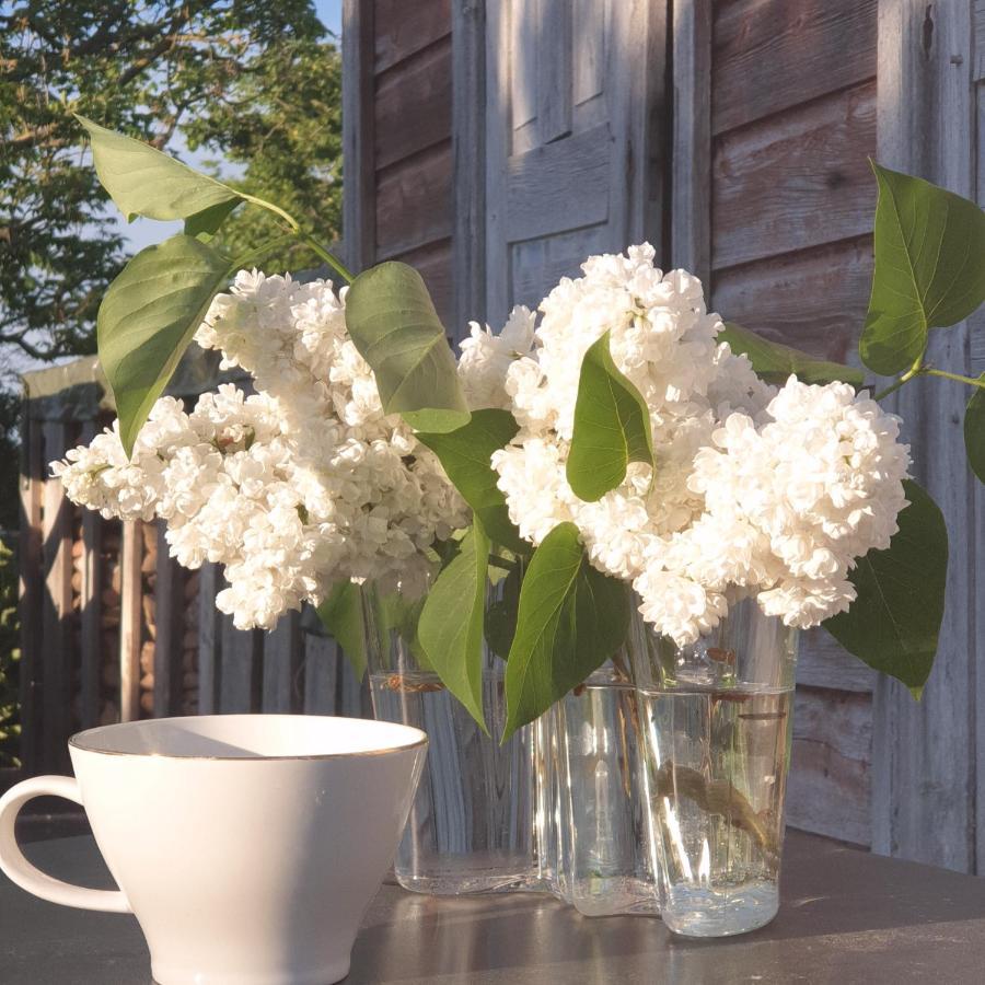 Ronehamn Bed And Breakfast Hemse Eksteriør billede